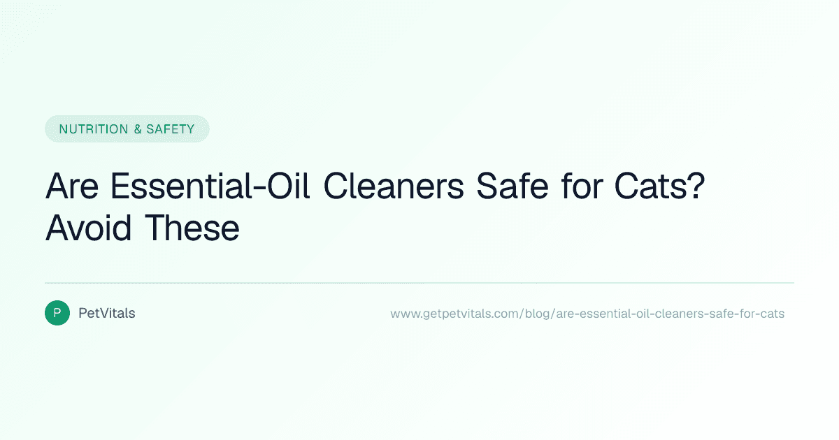 Are Essential-Oil Cleaners Safe for Cats?