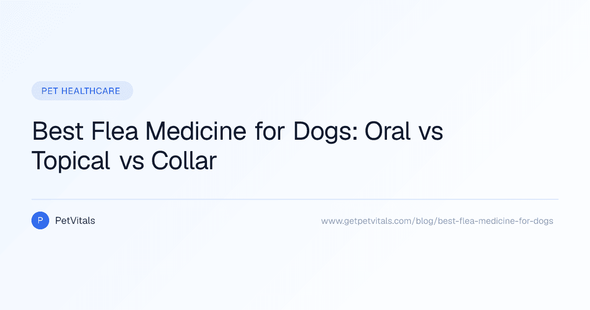Best Flea Medicine for Dogs: How to Choose Safely