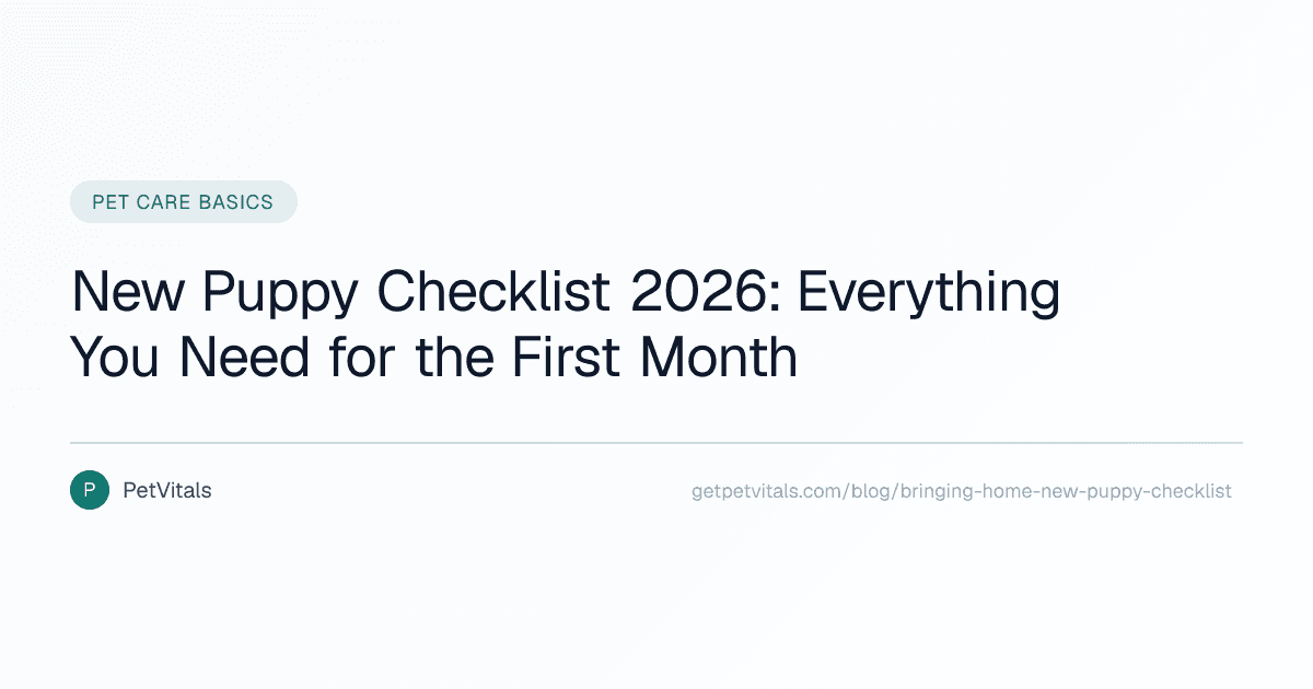 Bringing Home a New Puppy: The Complete First-Month Checklist