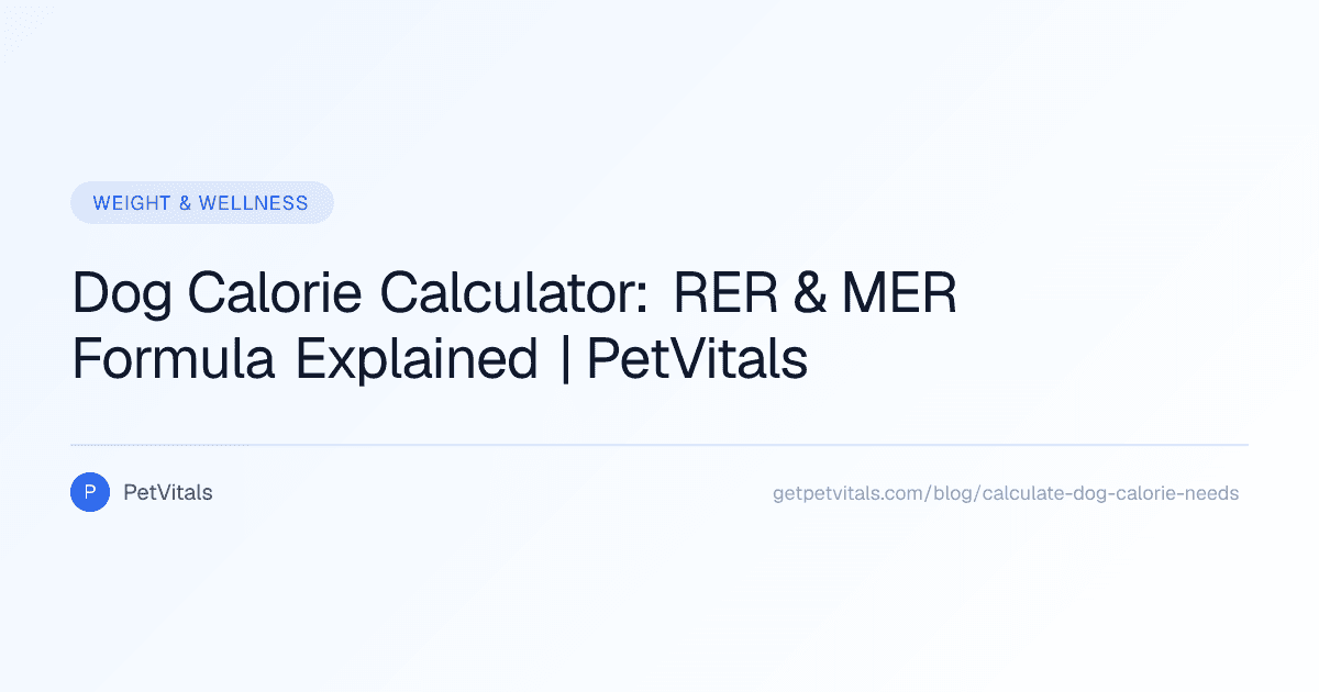 How to Calculate Your Dog's Daily Calorie Needs: A Complete Guide