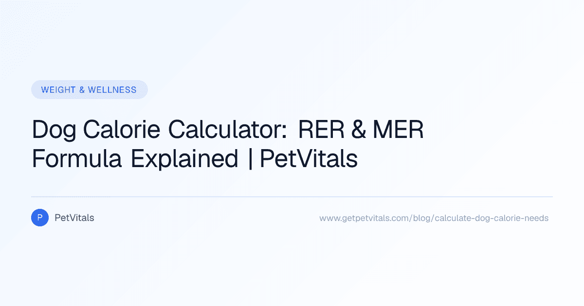 How to Calculate Your Dog's Daily Calorie Needs: A Complete Guide
