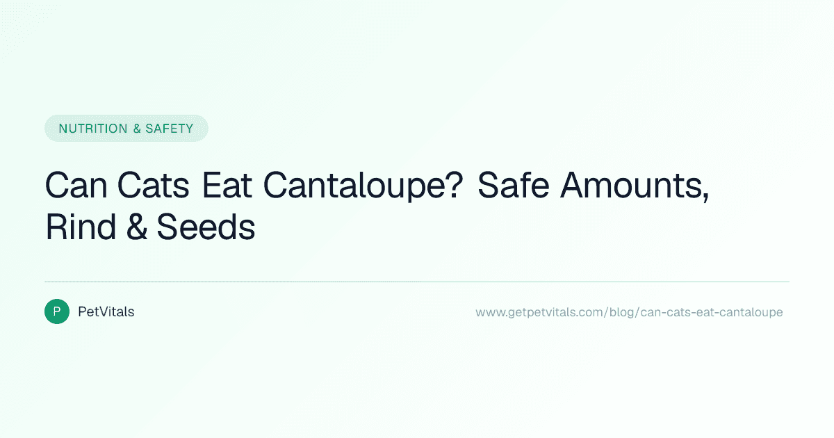 Can Cats Eat Cantaloupe? Safe Amounts, Rind & Seeds