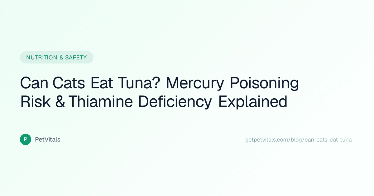 Can Cats Eat Tuna? Mercury, Thiamine Deficiency, and the Truth About Fish