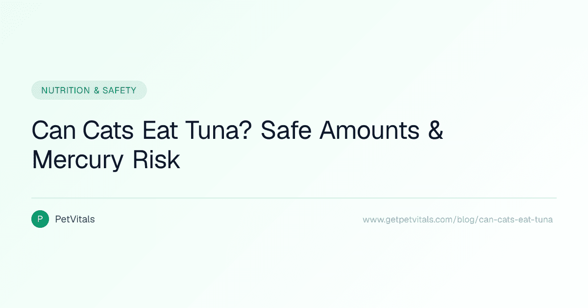 Can Cats Eat Tuna? Safe Amounts, Mercury Risk, and Better Fish Choices