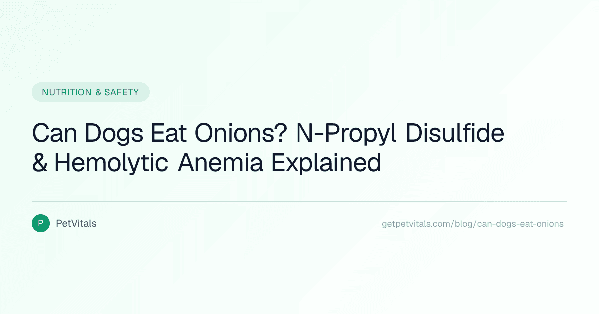 Can Dogs Eat Onions? Understanding N-Propyl Disulfide Toxicity