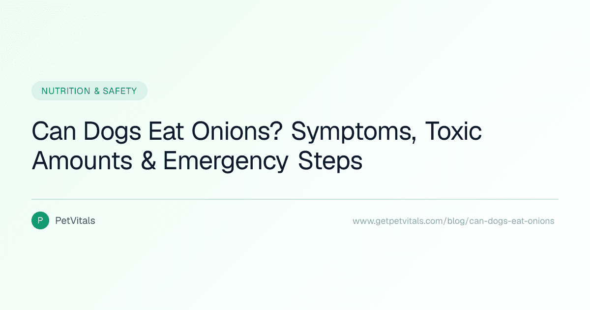 Can Dogs Eat Onions? Symptoms, Toxic Amounts, and Emergency Steps
