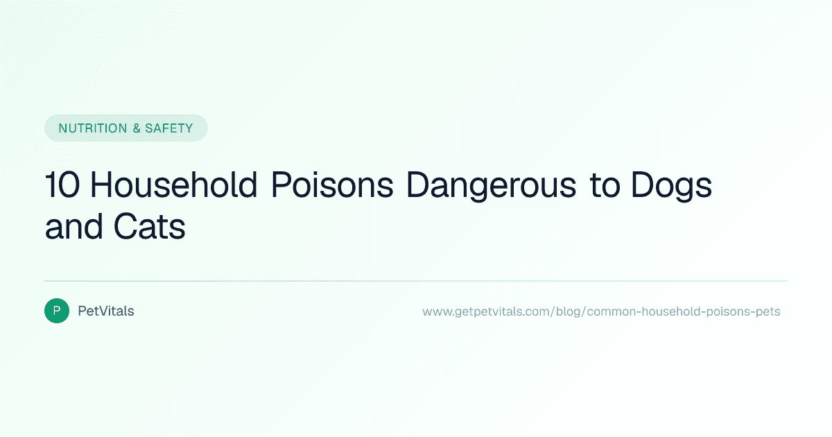 10 Common Household Items That Are Toxic to Pets