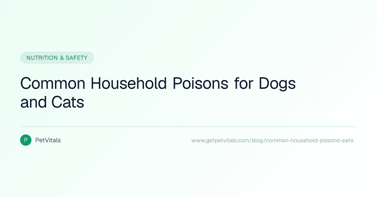 10 Common Household Items That Are Toxic to Pets