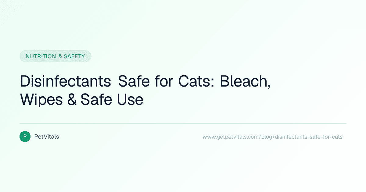 Disinfectants Safe for Cats: What to Use and What to Avoid