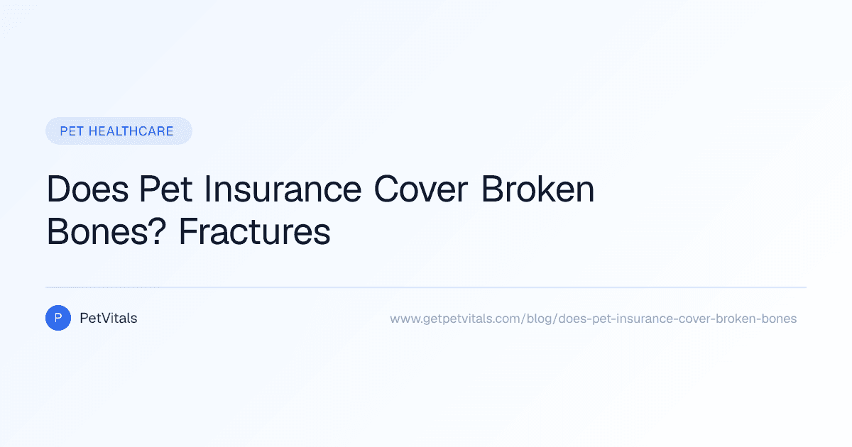 Does Pet Insurance Cover Broken Bones?