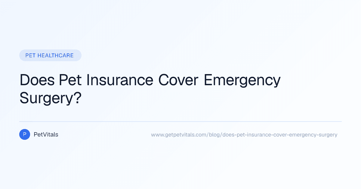 Does Pet Insurance Cover Emergency Surgery?