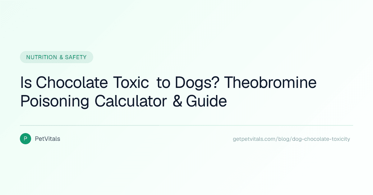 Is Chocolate Toxic to Dogs? Theobromine Poisoning Explained