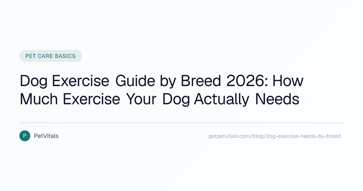 Dog Exercise Needs by Breed: How Much Exercise Does Your Dog Really Need?