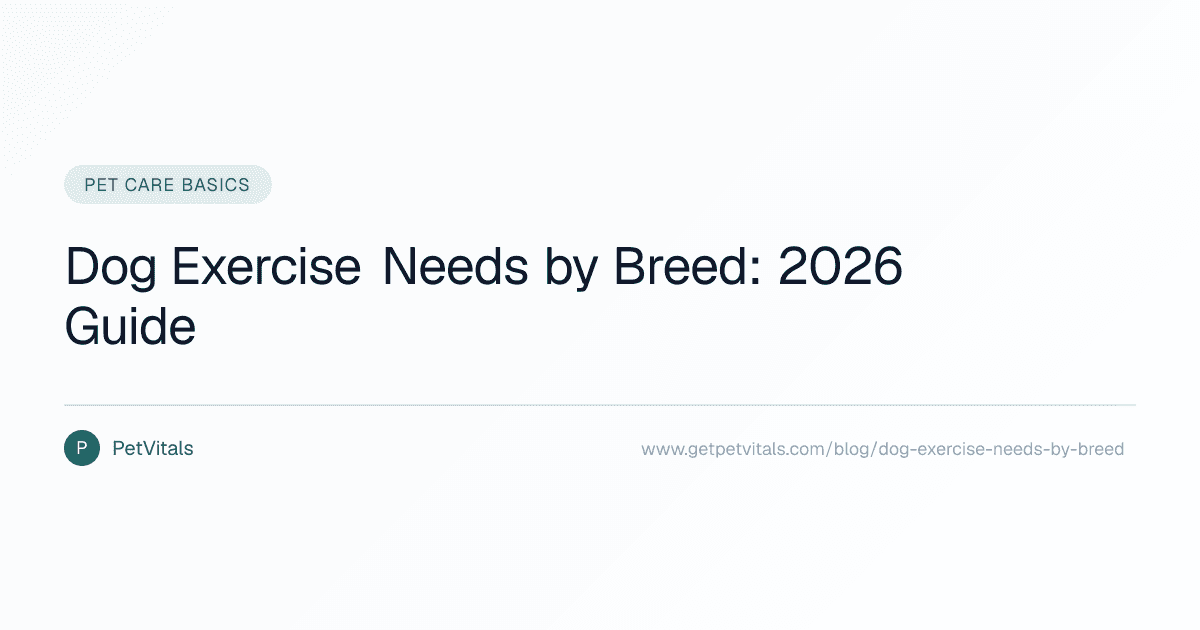 Dog Exercise Needs by Breed: How Much Exercise Does Your Dog Really Need?