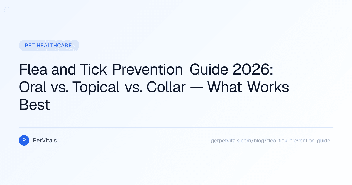 Flea and Tick Prevention for Dogs & Cats: What Actually Works