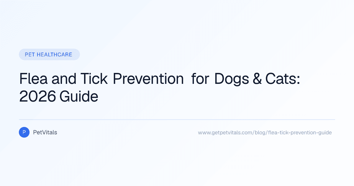 Flea and Tick Prevention for Dogs & Cats: What Actually Works