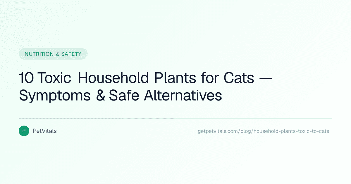 10 Common Household Plants That Are Toxic to Cats