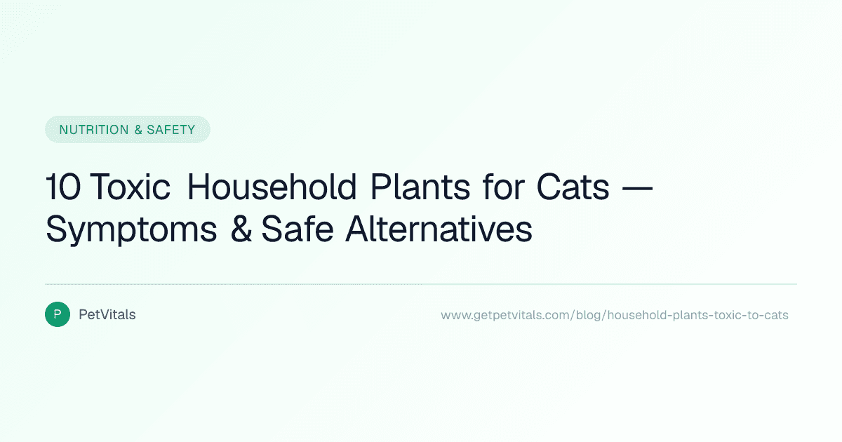 10 Common Household Plants That Are Toxic to Cats