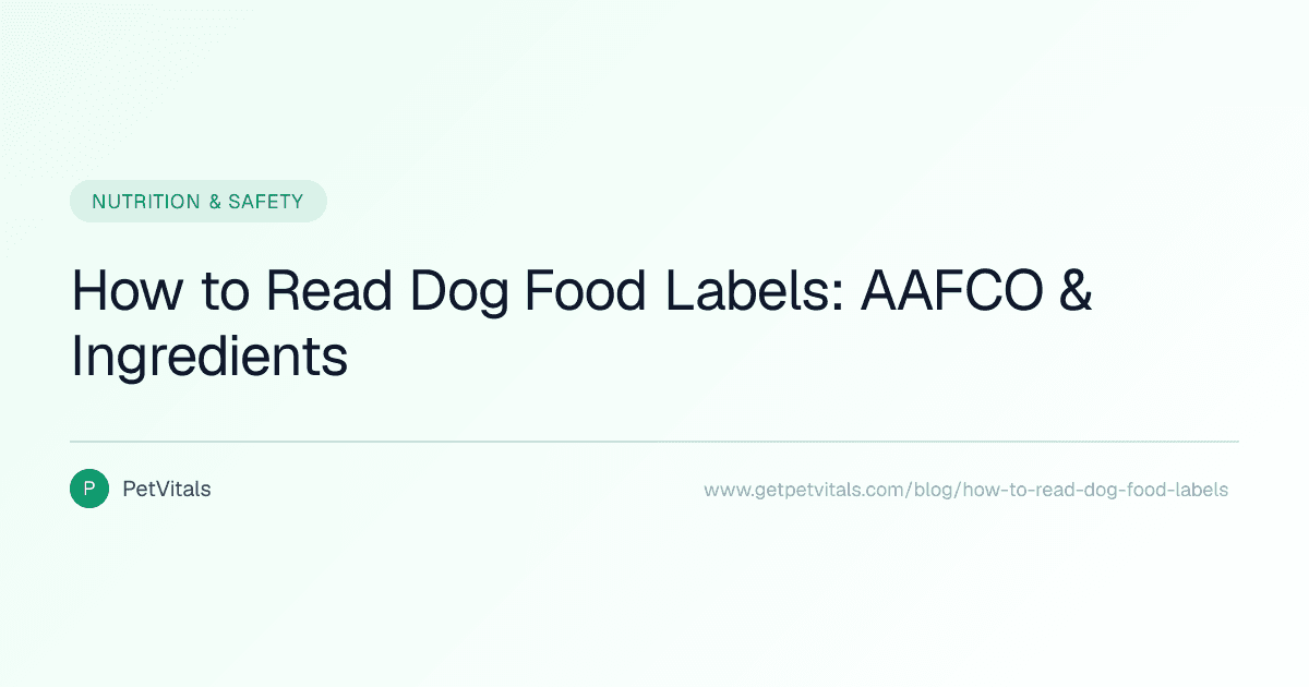 How to Read Dog Food Labels: AAFCO, Ingredients, and Marketing Tricks