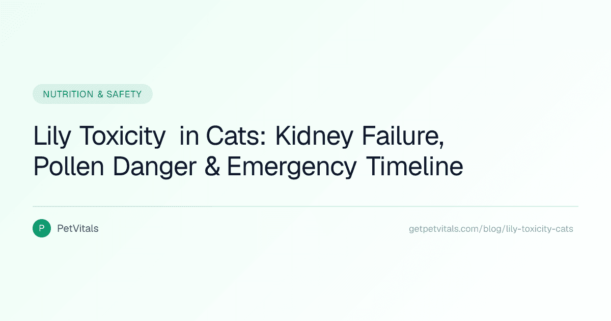 Lily Toxicity in Cats: Kidney Failure from Pollen, Leaves, and Vase Water