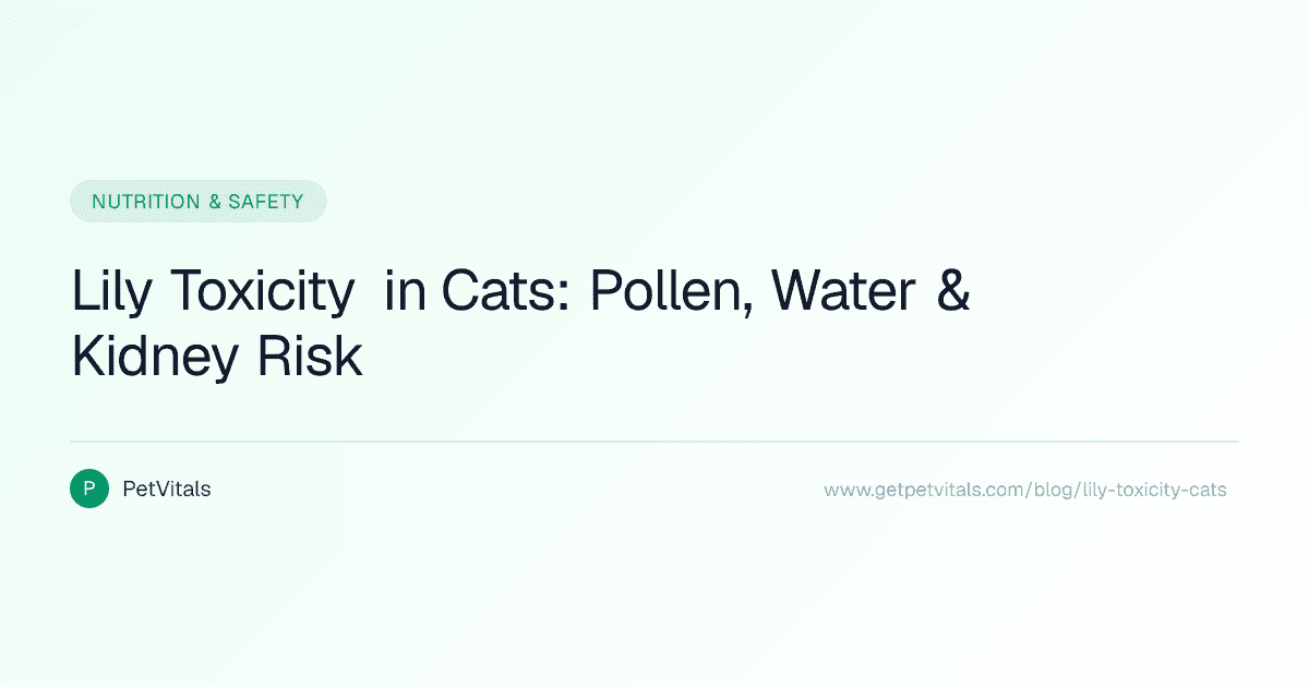 Lily Toxicity in Cats: Kidney Failure from Pollen, Leaves, and Vase Water