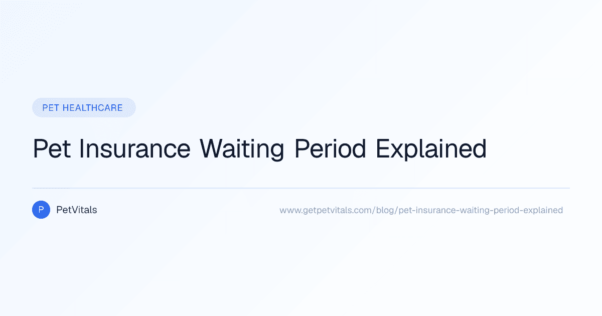 Pet Insurance Waiting Period Explained