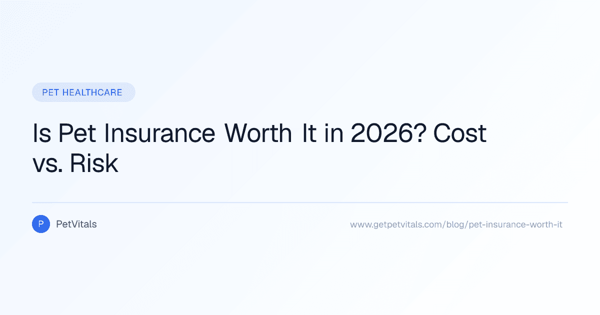 Is Pet Insurance Worth It? Cost vs. Risk Analysis for 2026