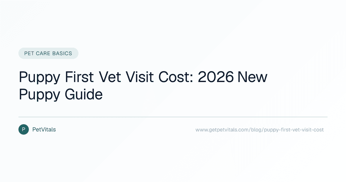 Puppy First Vet Visit Cost: What to Expect