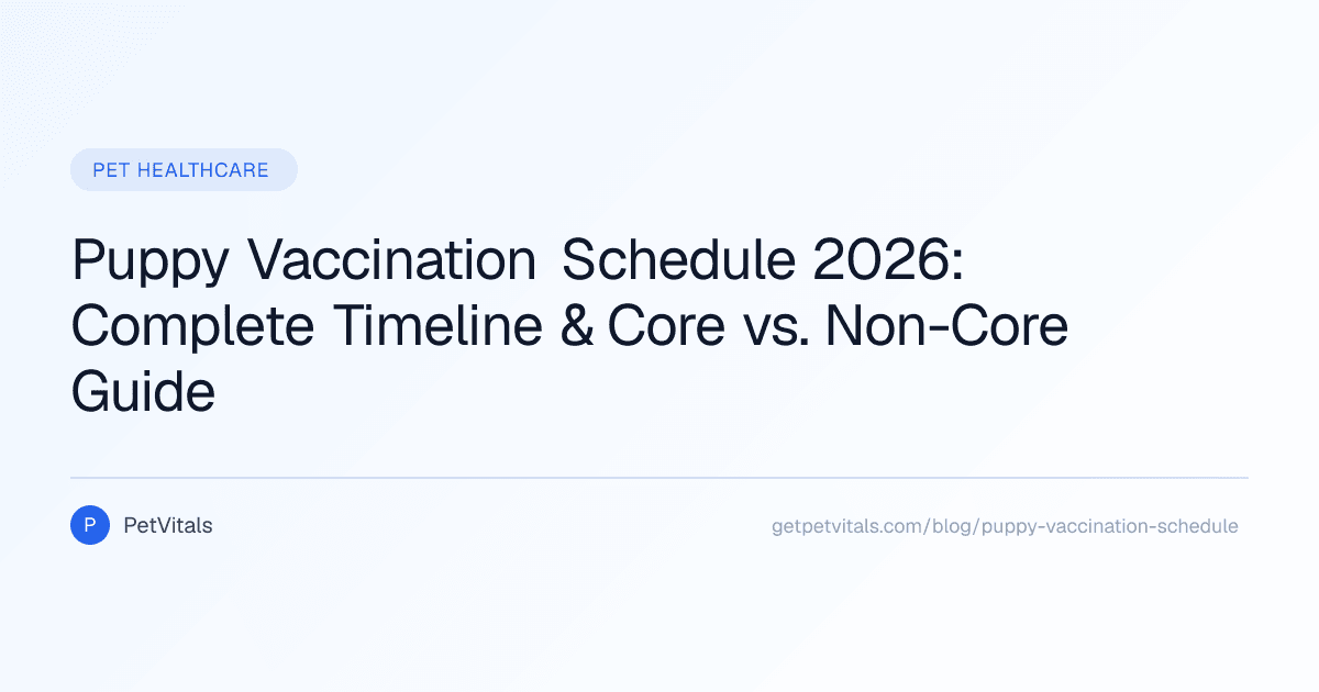 Puppy Vaccination Schedule: A Complete Timeline Guide