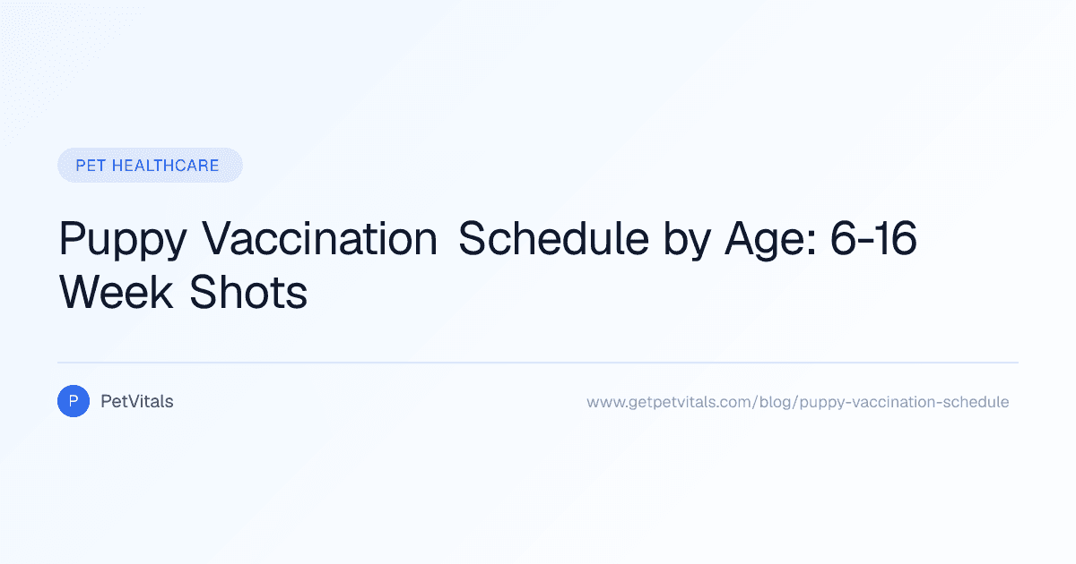 Puppy Vaccination Schedule by Age: 6-16 Week Shots