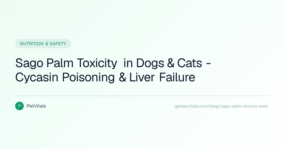 Sago Palm Toxicity in Dogs and Cats: Cycasin, Liver Failure, and Emergency Care