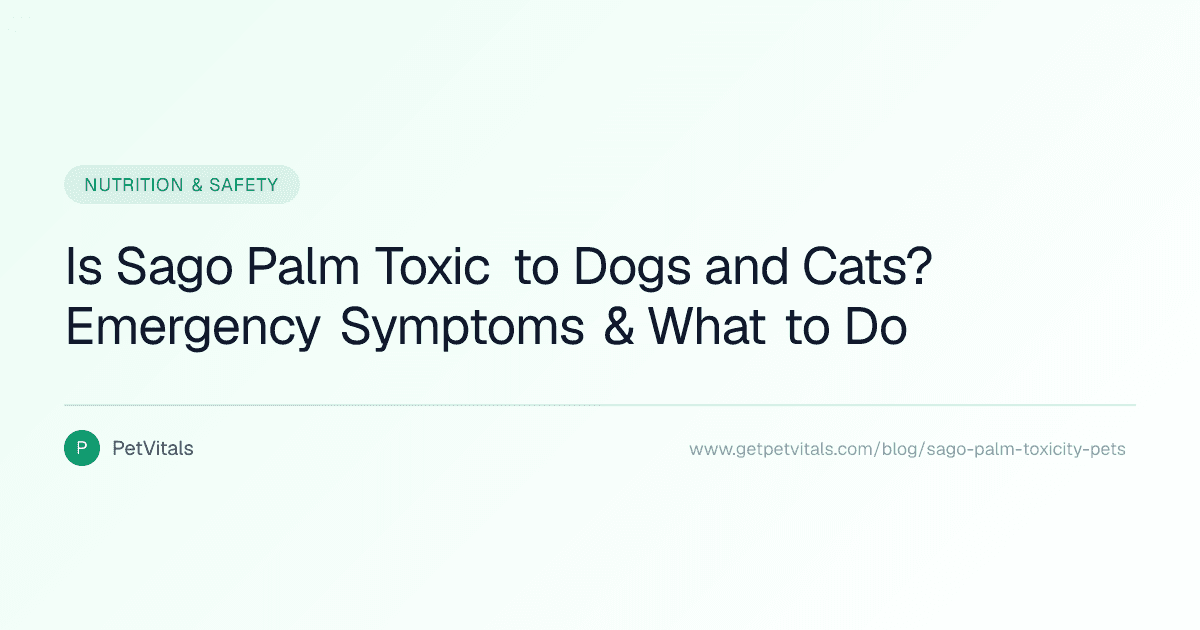 Is Sago Palm Toxic to Dogs and Cats? Emergency Symptoms and Treatment