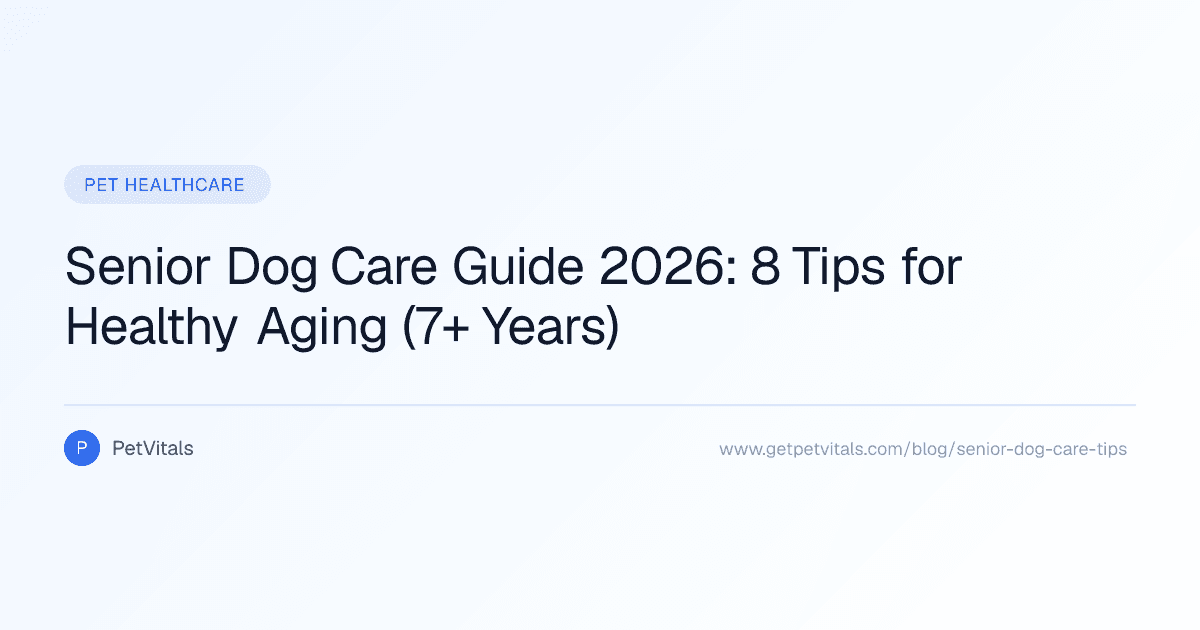 Senior Dog Care: 8 Essential Tips for Aging Dogs (7+ Years)