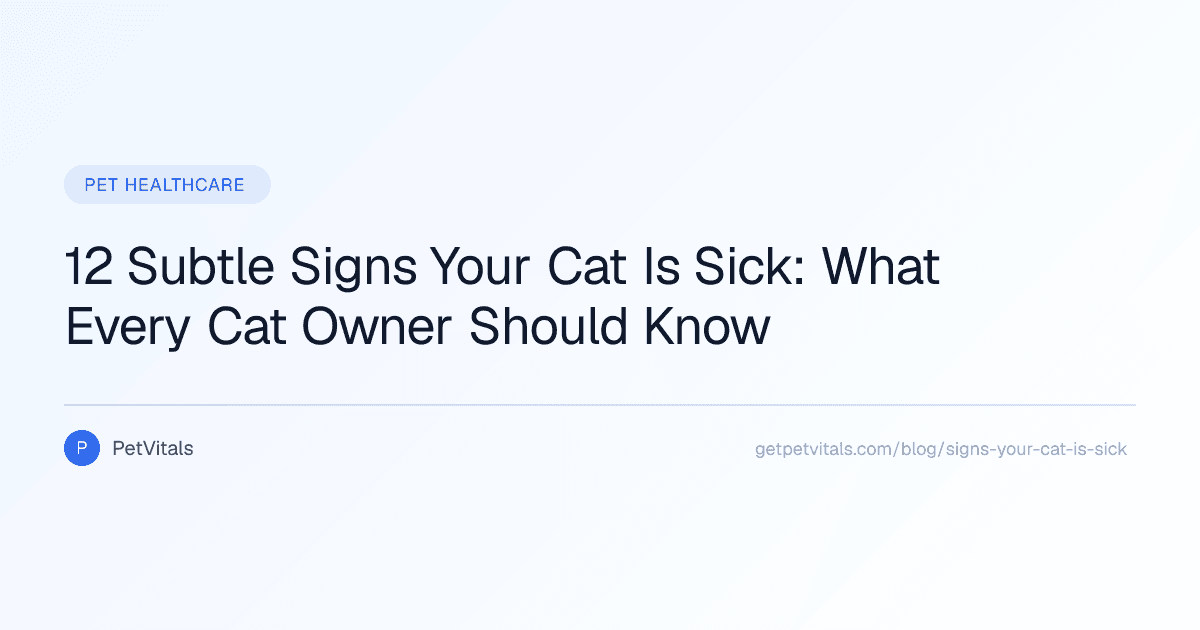 Is Your Cat Sick? 12 Subtle Signs Cat Owners Often Miss