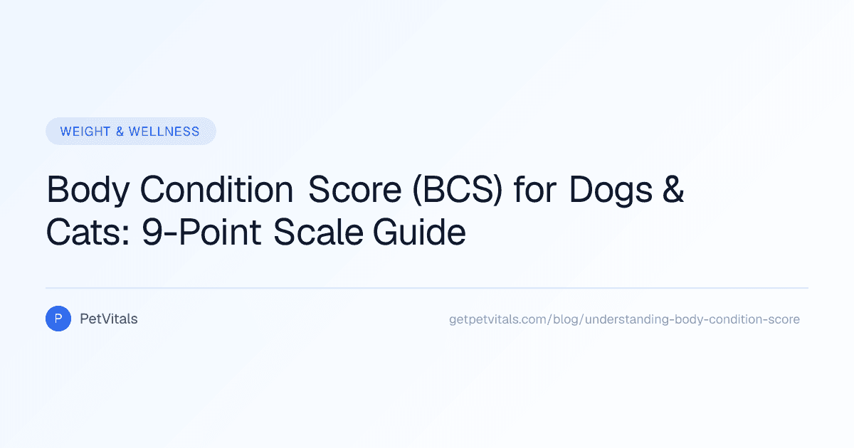 Understanding Your Pet's Body Condition Score (BCS)